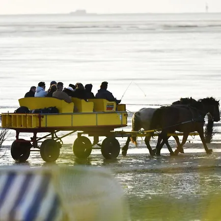 Haus Strandduene Ds29 Куксхафен